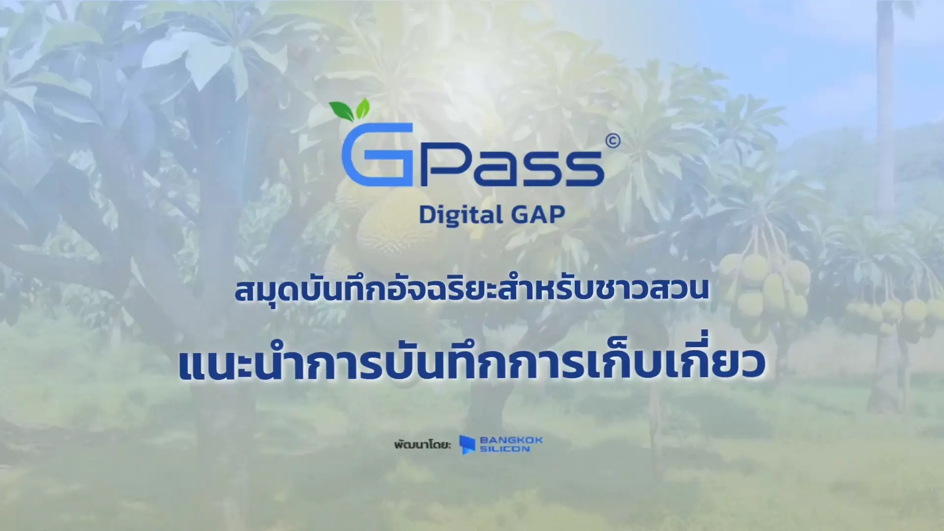 การเก็บเกี่ยว