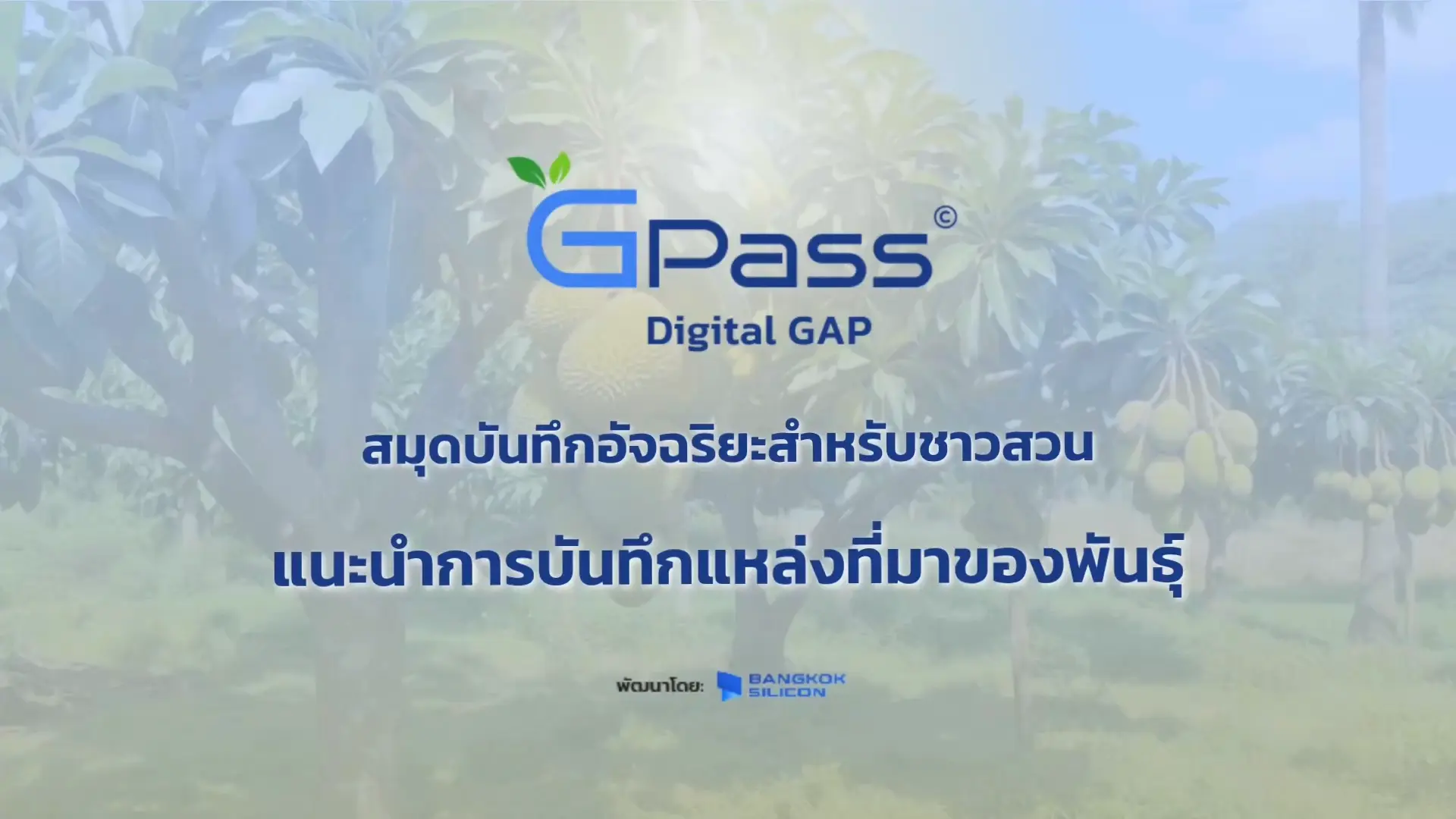 แหล่งที่มาของพันธุ์