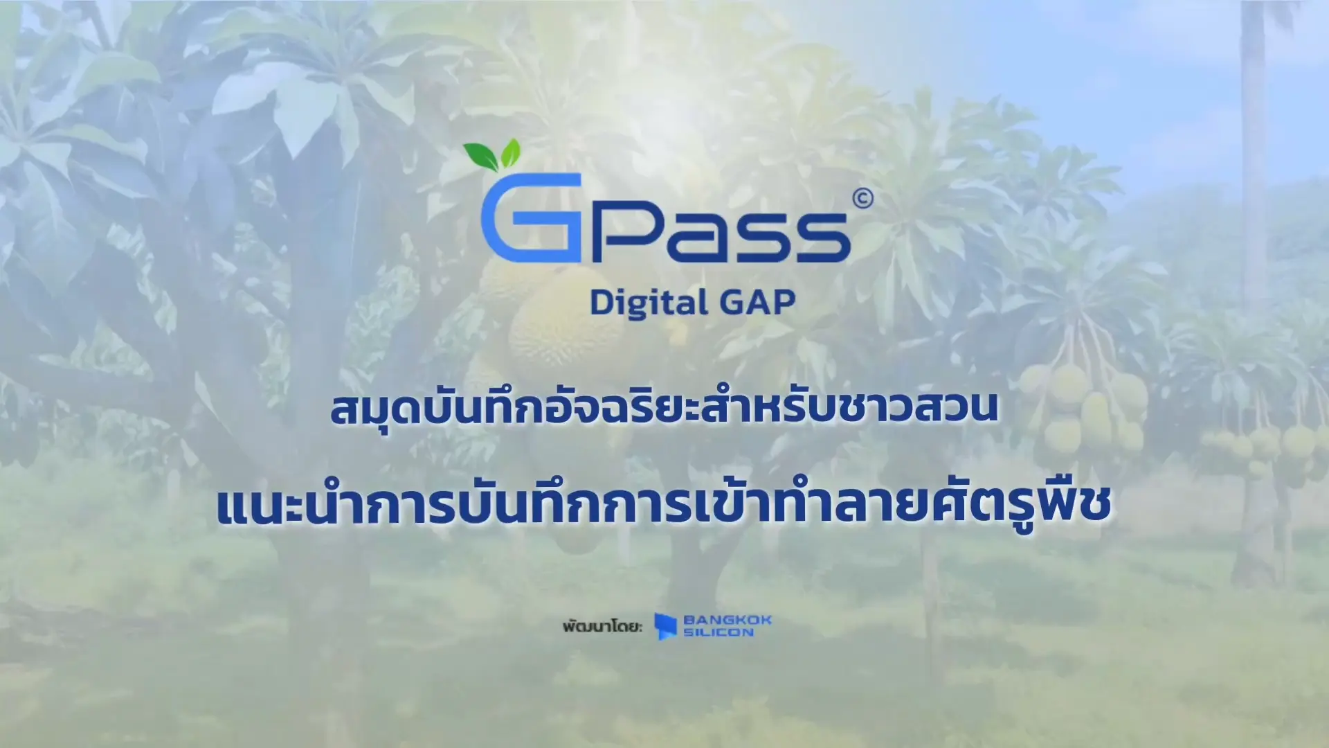 การแพร่ระบาดของศัตรูพืช