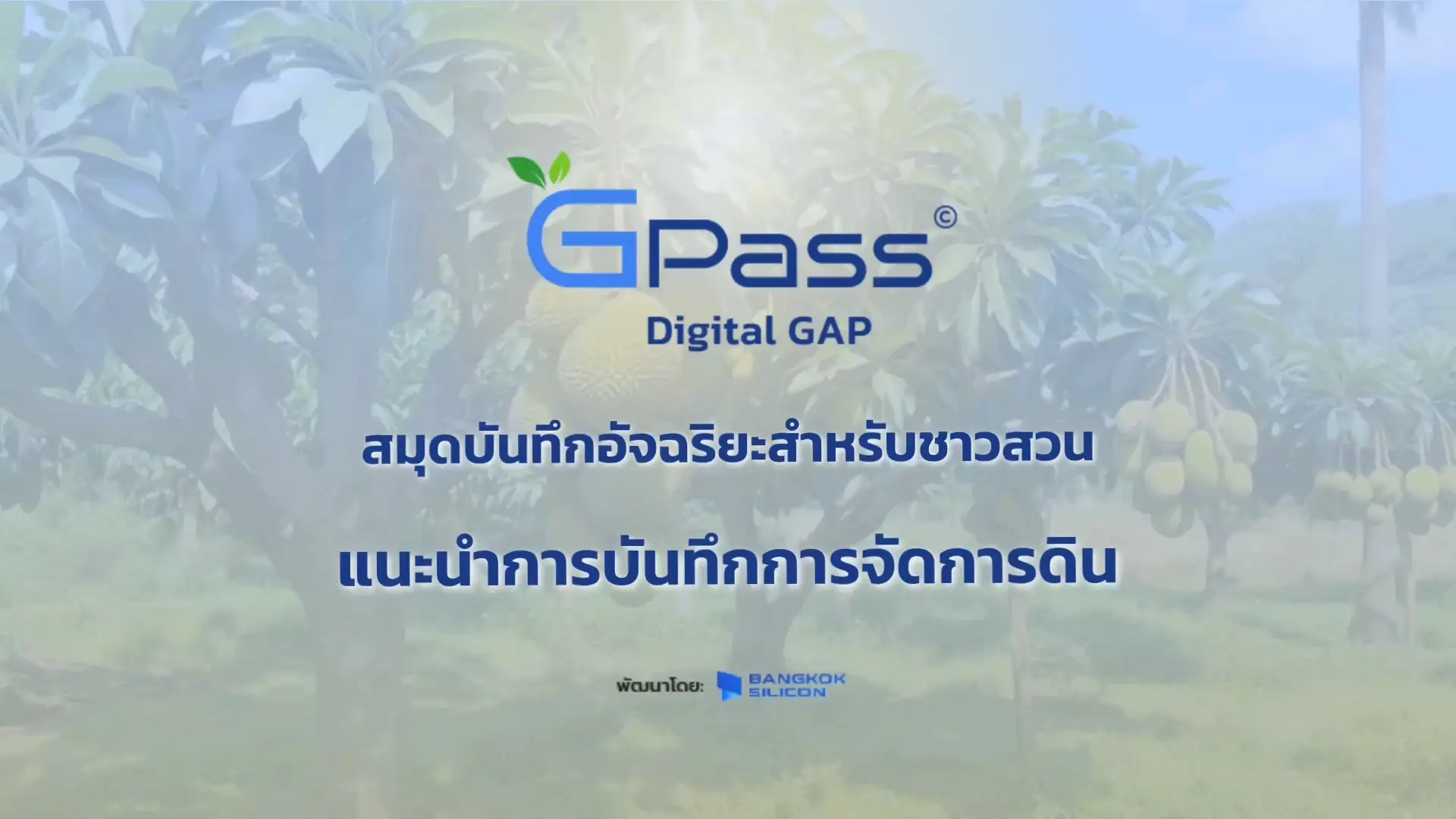 การจัดการดิน